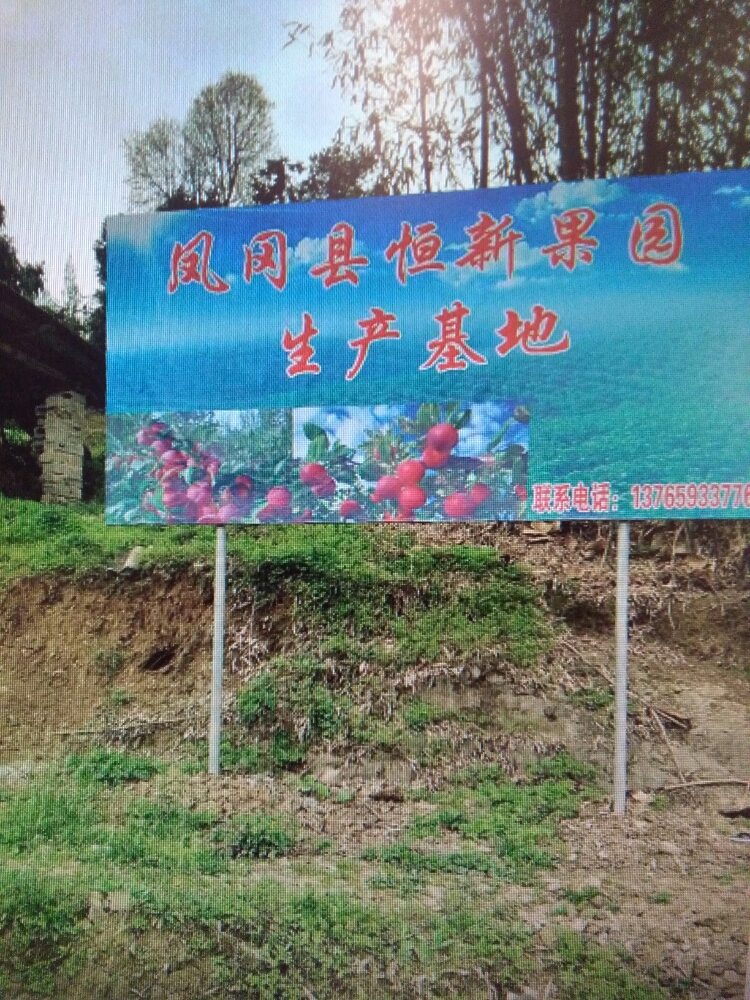 贵州省凤冈县恒新果园