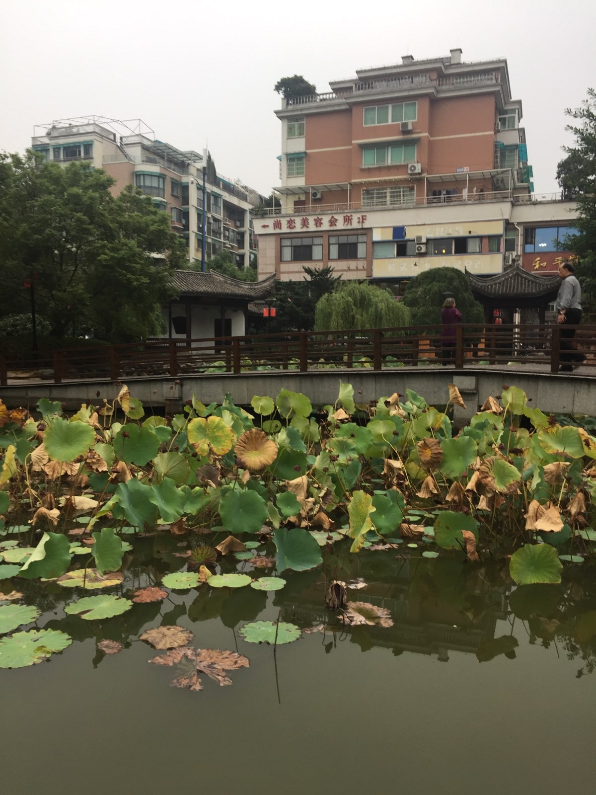 和平公园