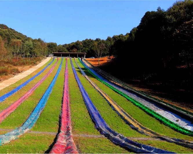 重庆市梁平区百里竹海-蝶海景区