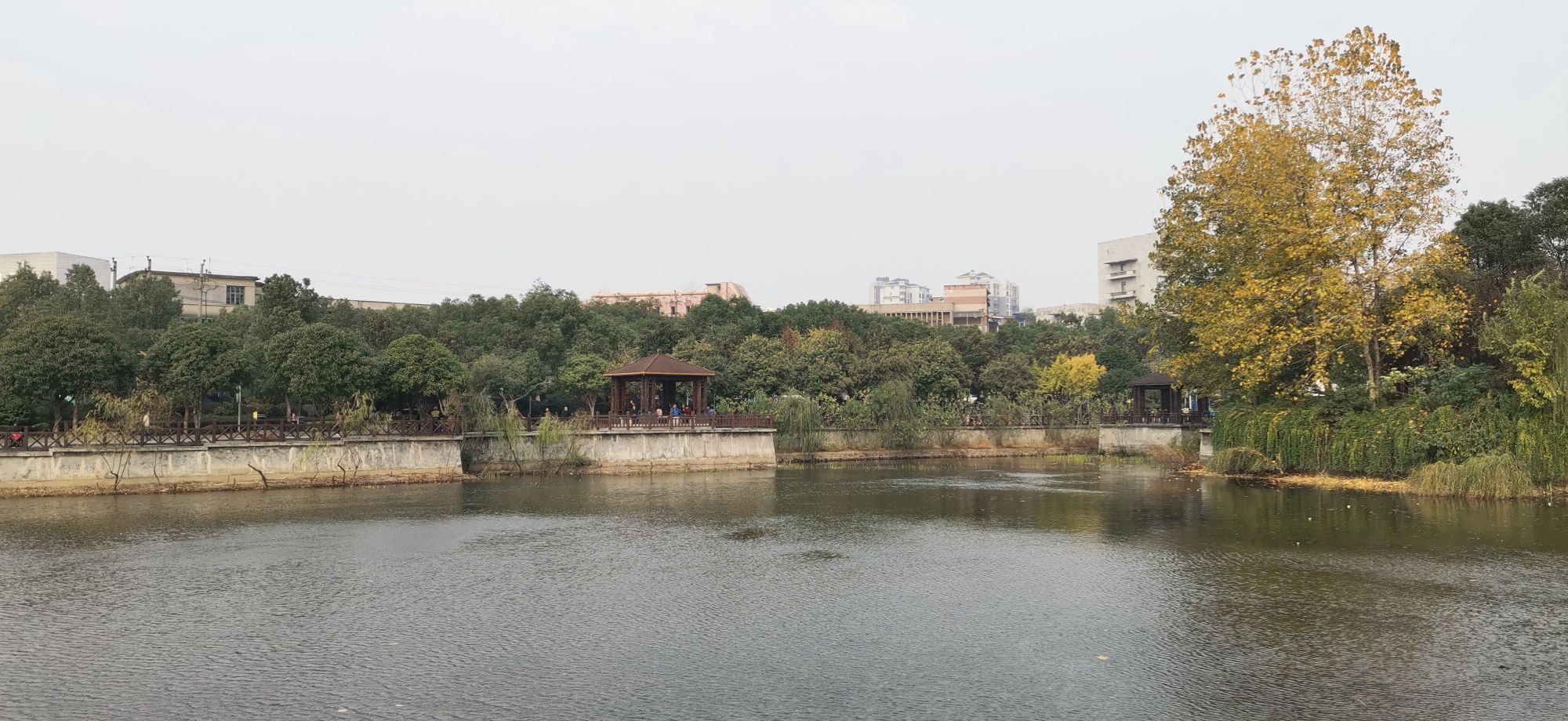 岳塘公园