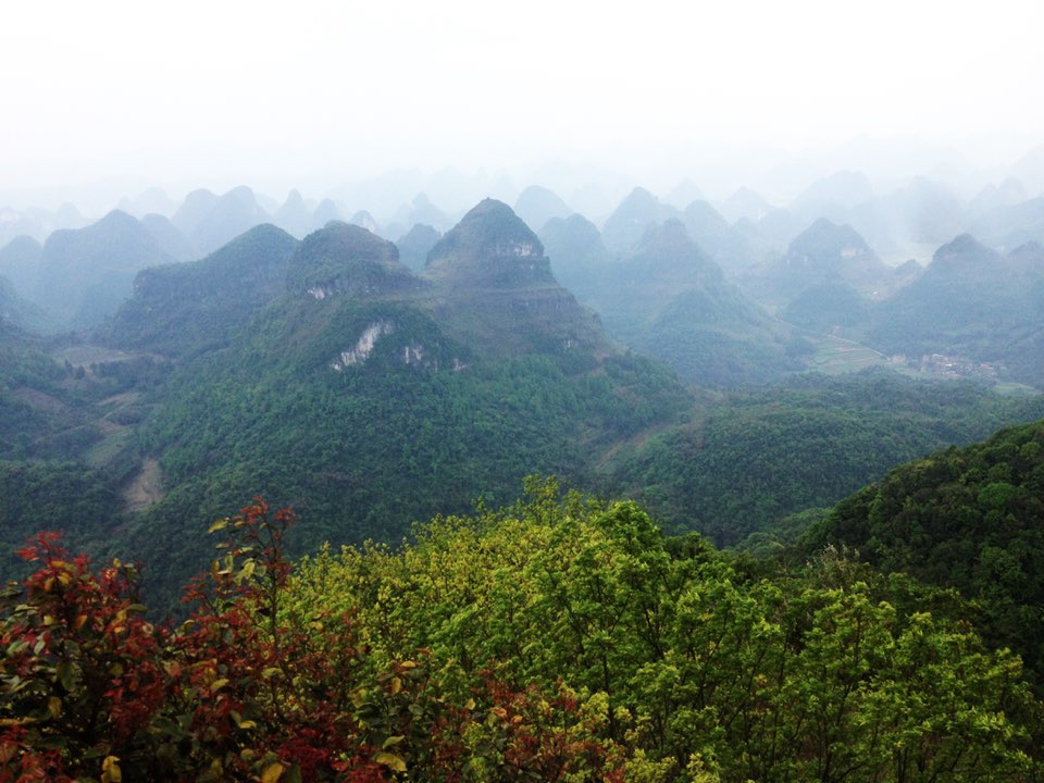 广西壮族自治区河池市宜州区