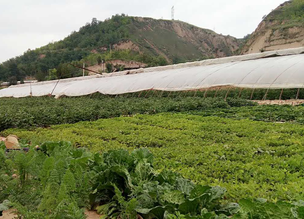 延安市延川县延永路