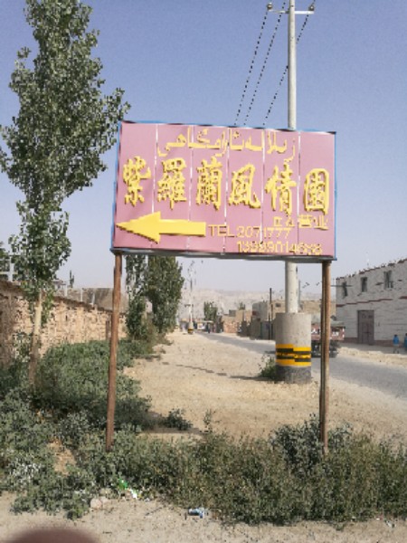 紫罗兰风情园
