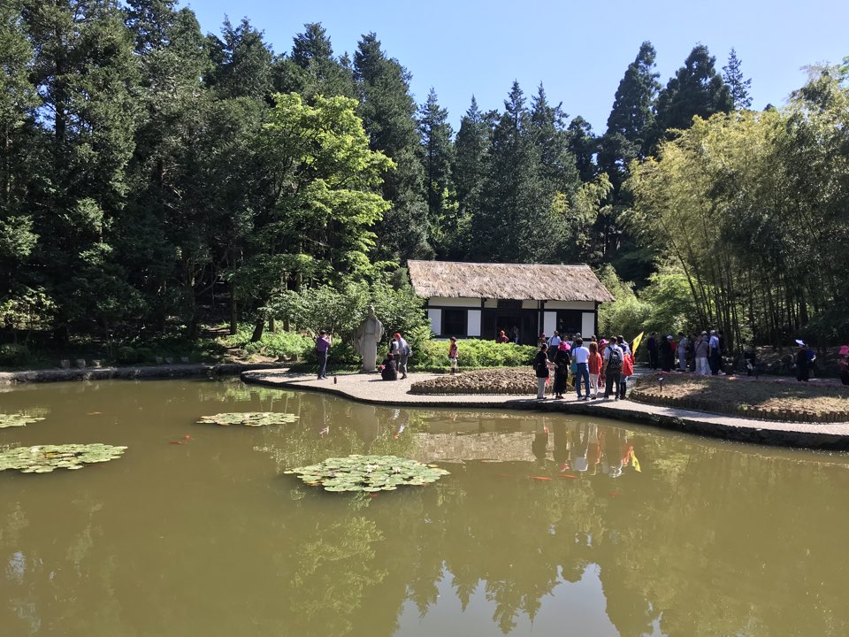 白居易草棠