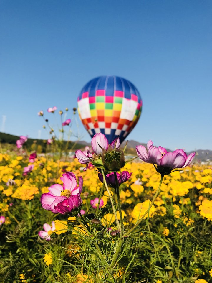 丰宁陌上花开