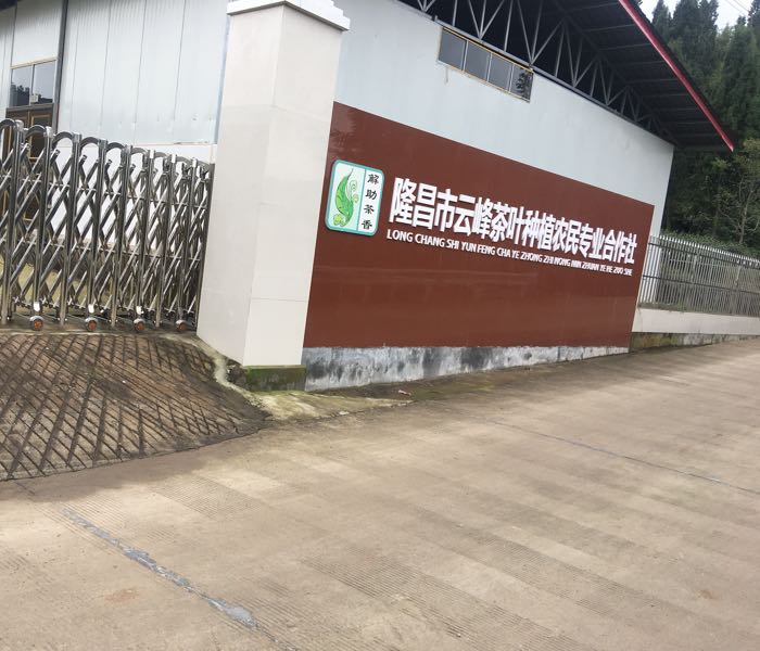 云峰茶叶专业合作社
