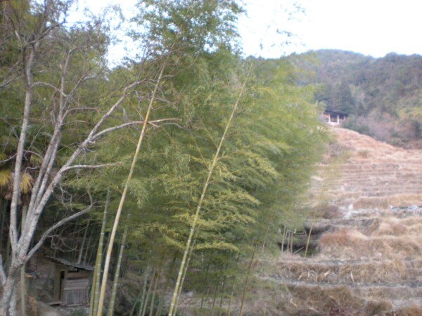 三明市尤溪县