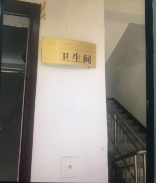 河南省三门峡市卢氏县双槐树乡西茄村红豆杉基地