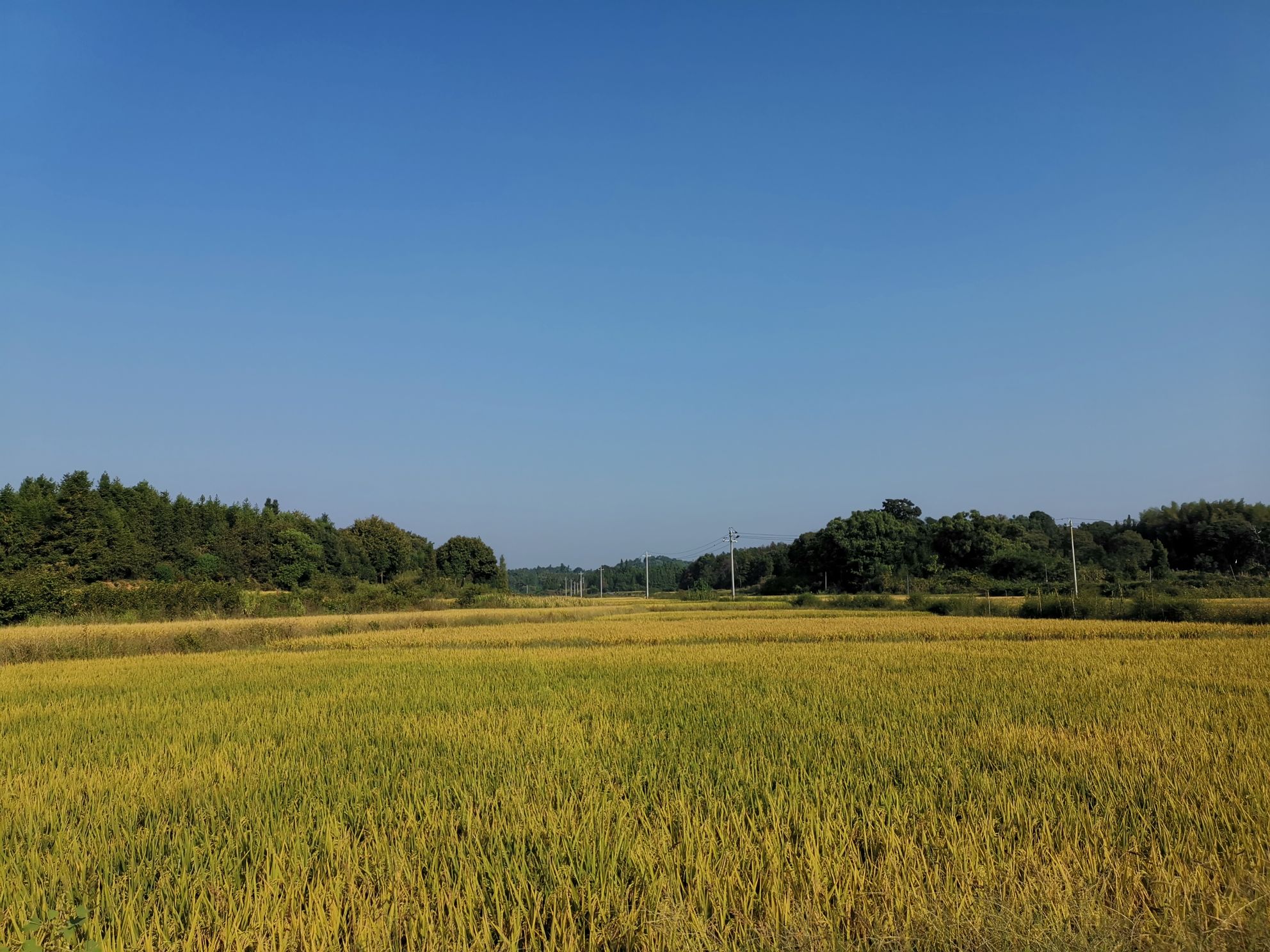 宜春市奉新县