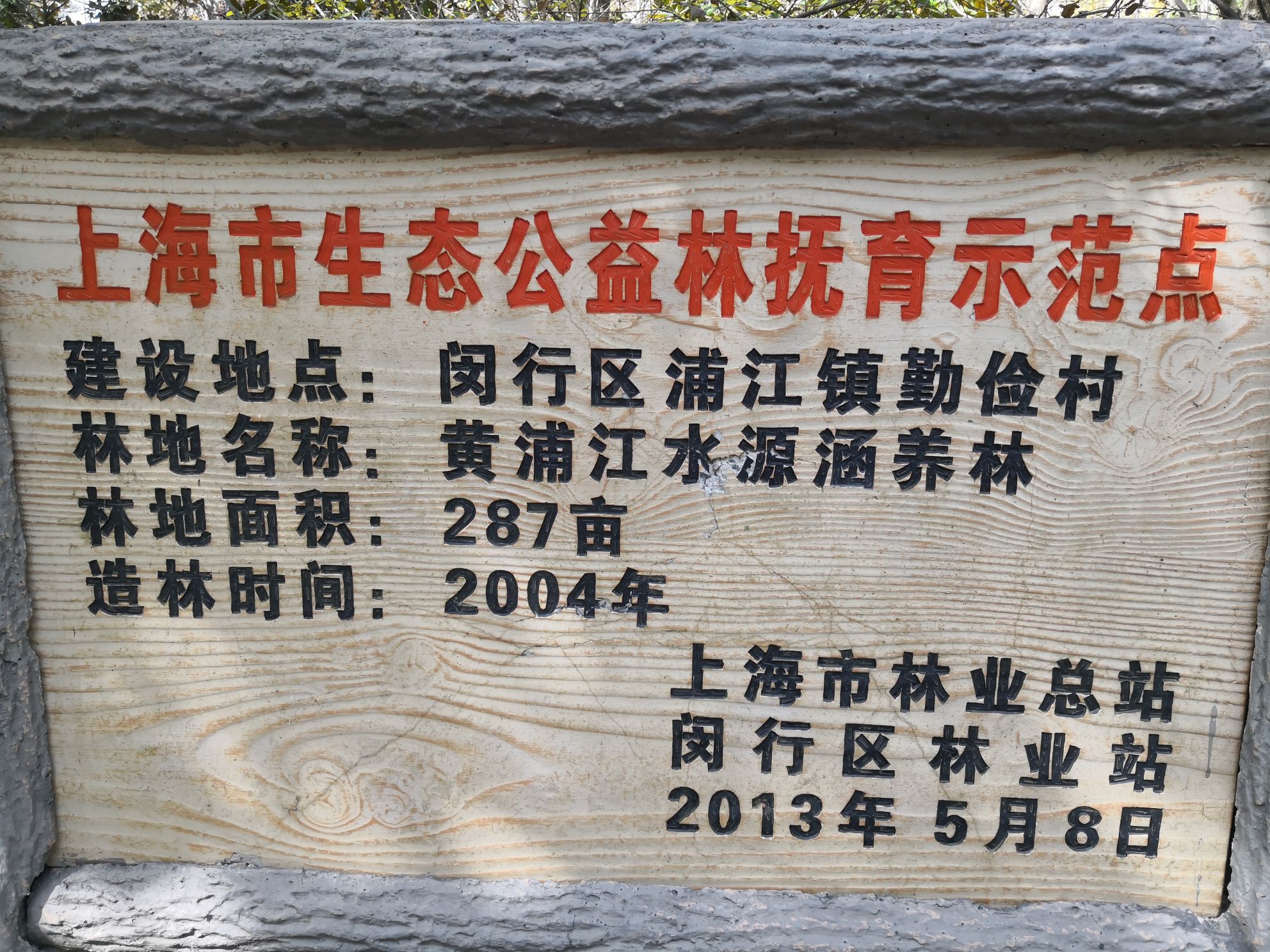 闵行区