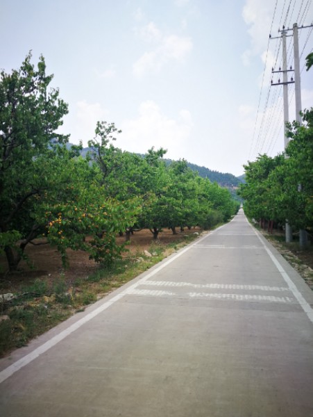 济南市长清区张夏镇张富路与张高路交叉西北角