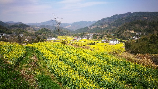 宁波市奉化区