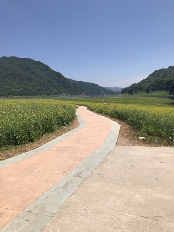 万亩油菜花海