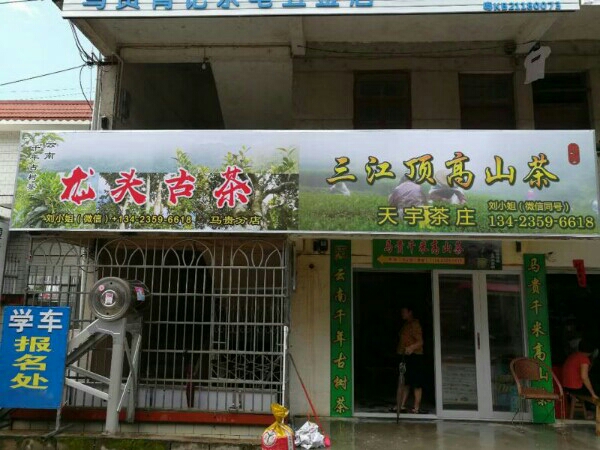 马贵三江顶高山茶