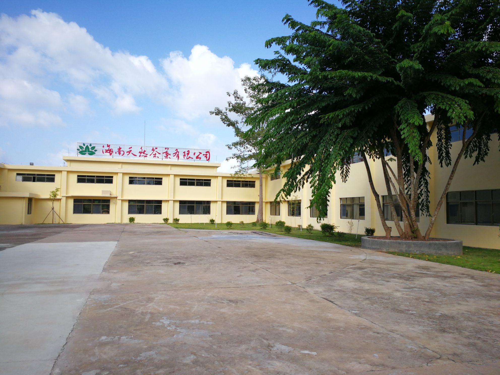 海南天然茶叶有限公司