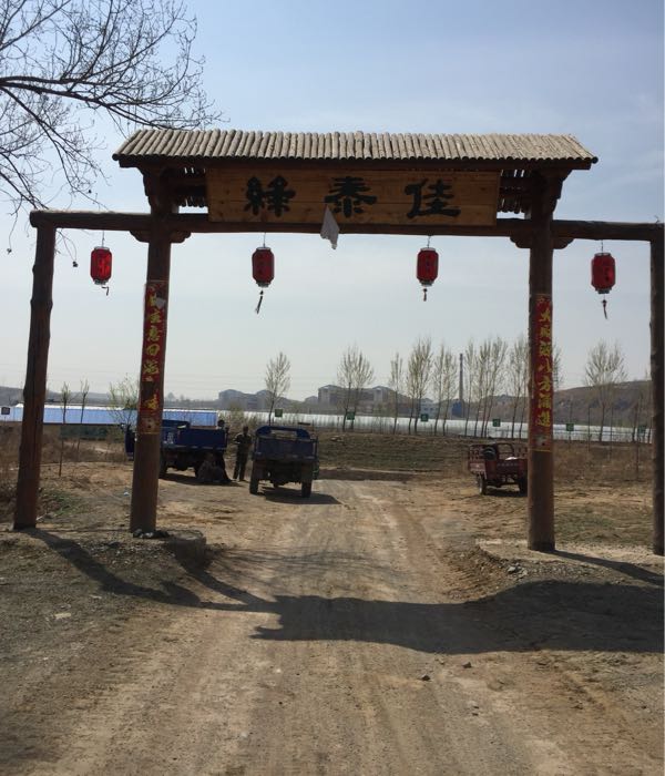 绿泰佳葡萄主题乐园