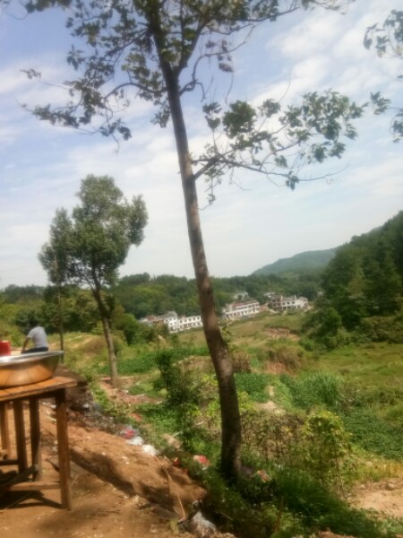 文正学校