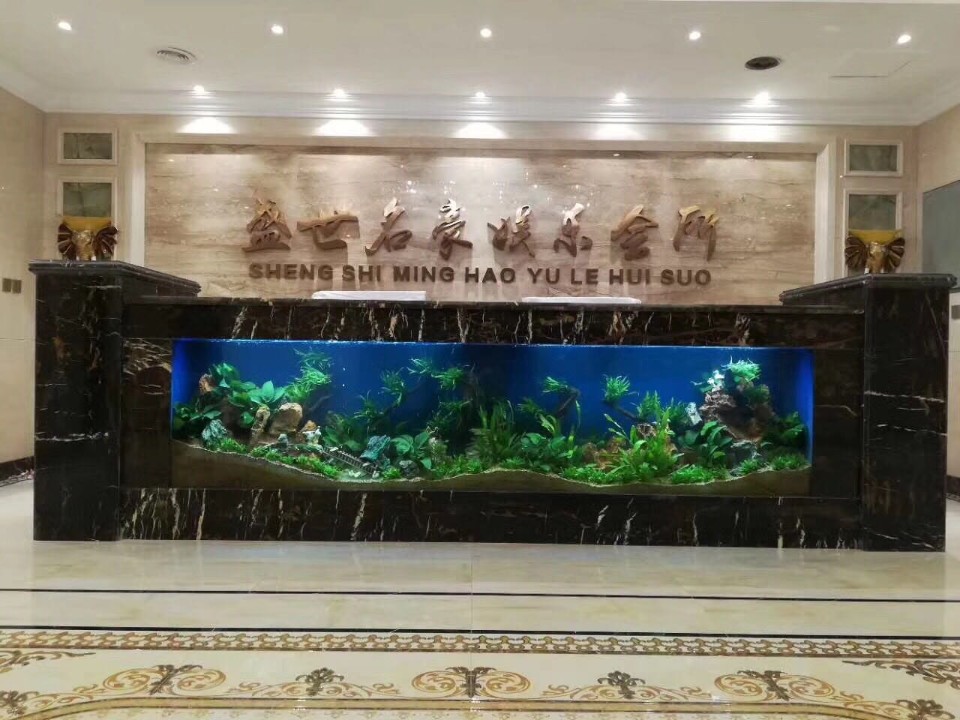 喜来乐鱼缸厂(碧桂园御川府4期店)