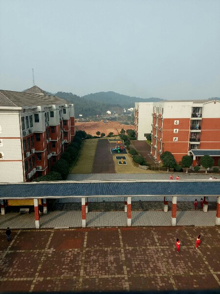 金海学校