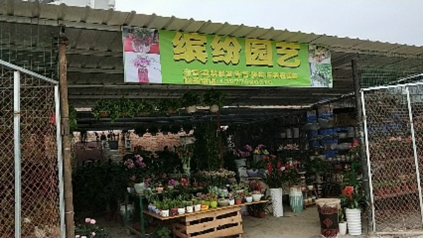 海丝路花卉市场