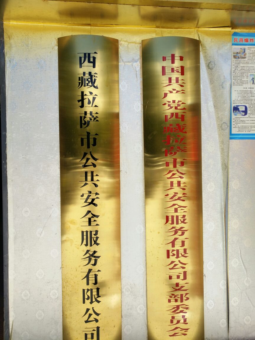 西藏拉萨公交共安全服务有限公司