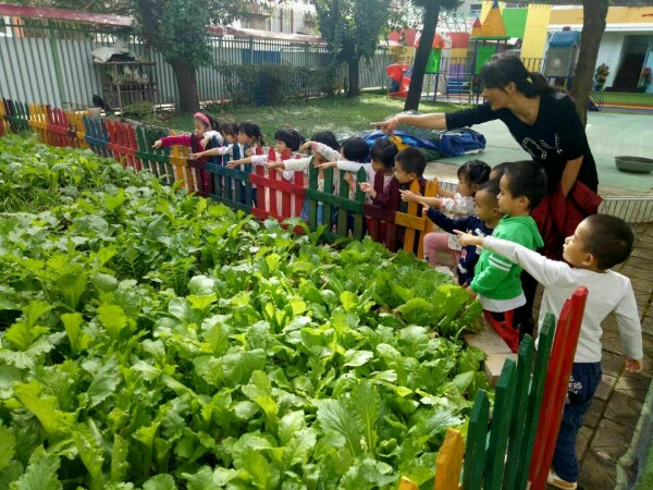 楚雄市虹凤宇幼儿园