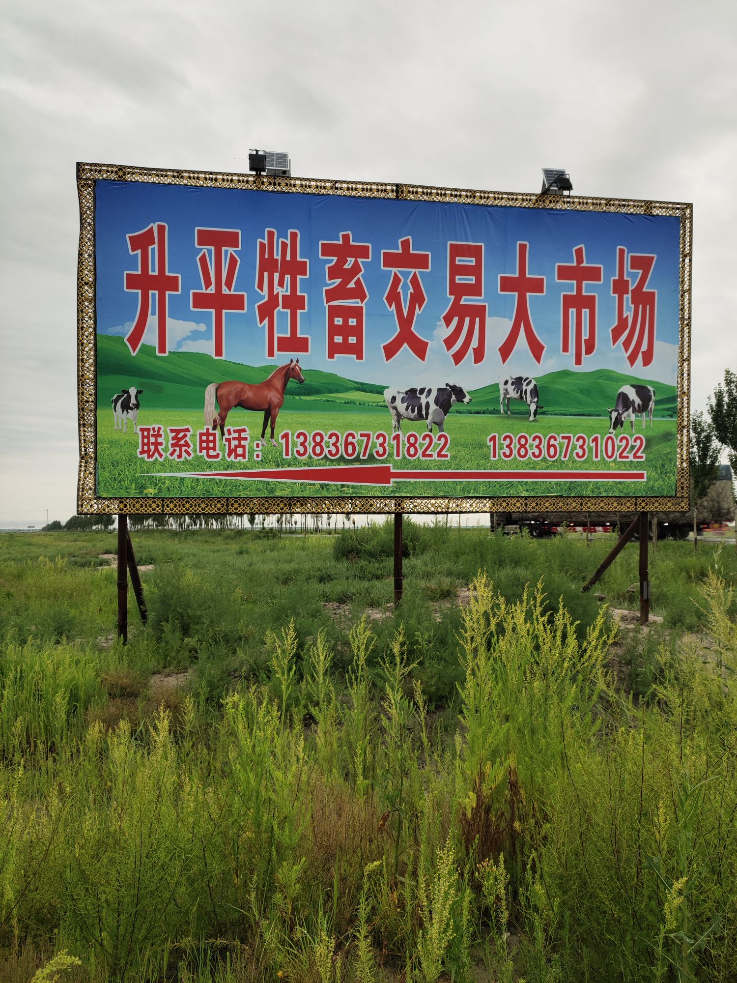 安达升平畜牧交易大市场