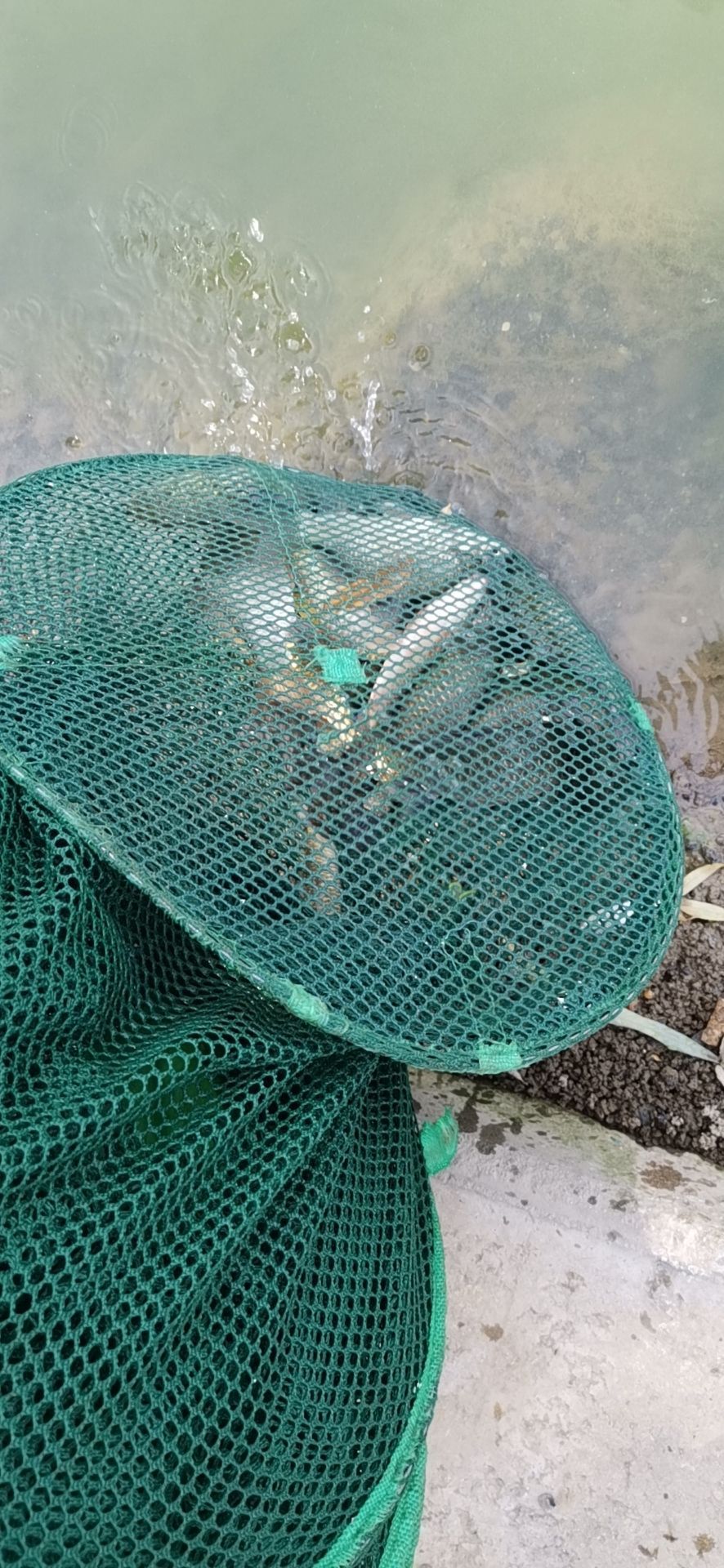 沃龙岗钓点