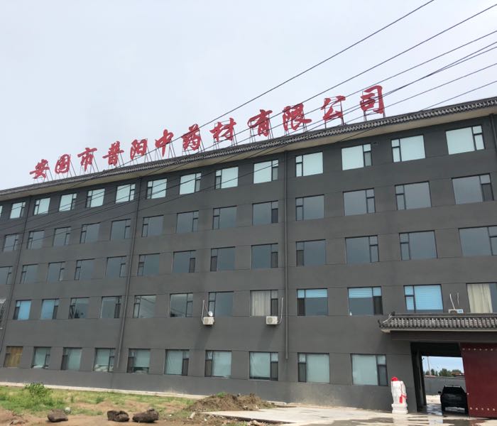安国市普阳中药材有限公司