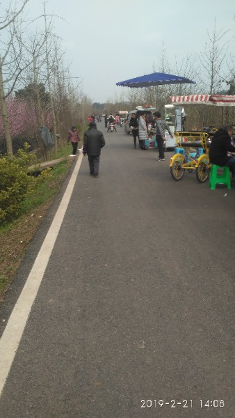 月季公园