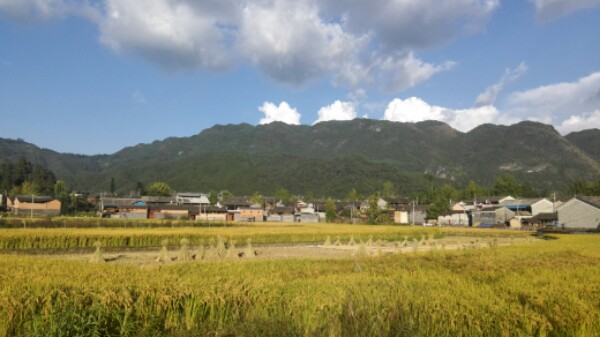 保山市腾冲市