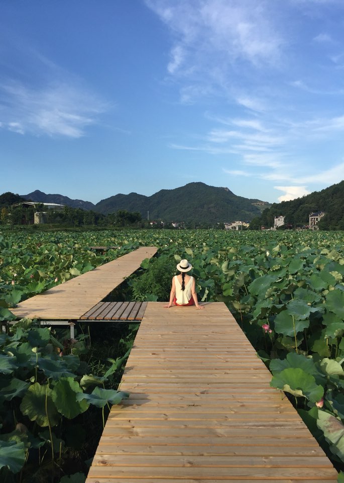 天池荷花景区