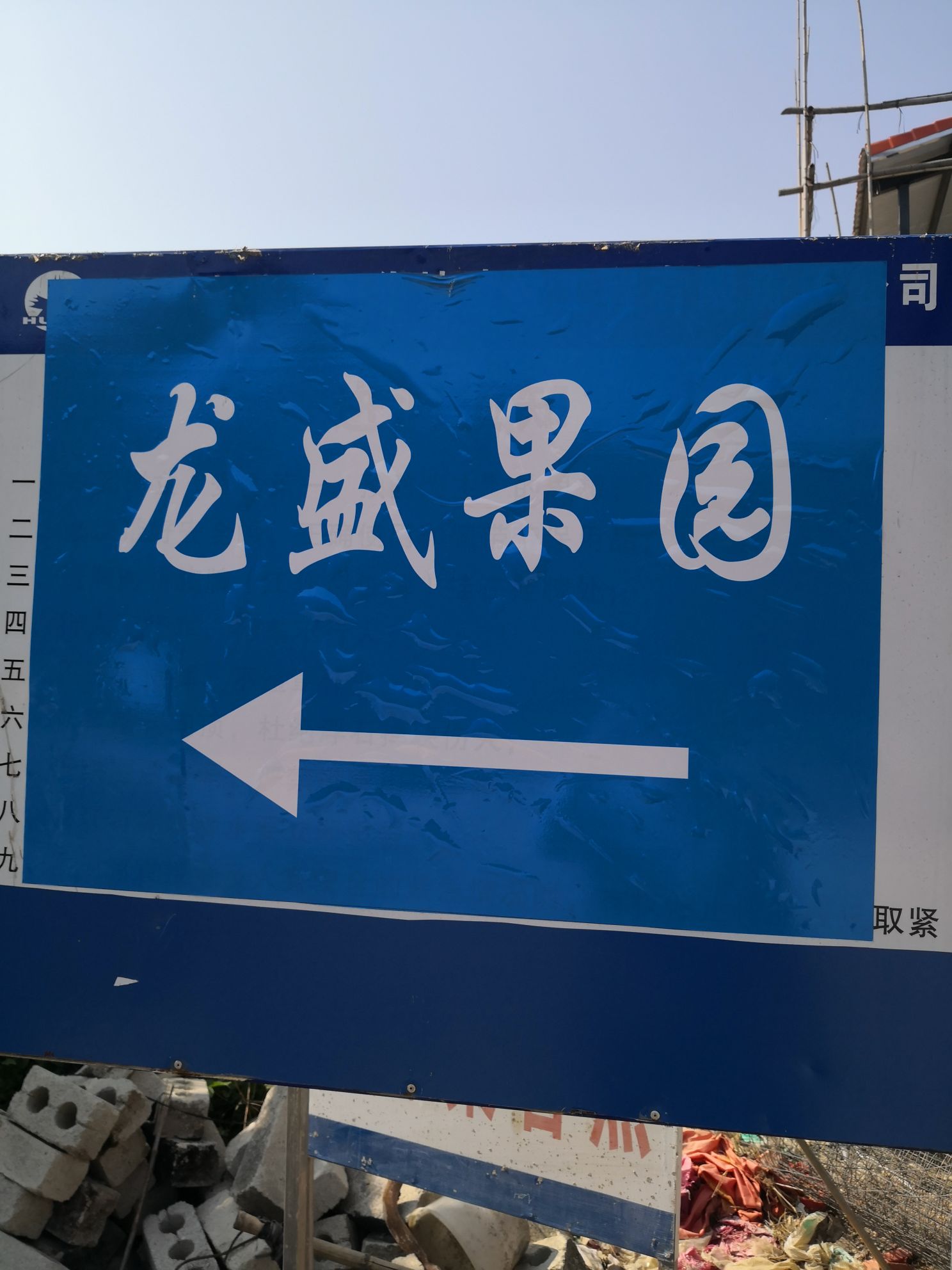 龙盛果园