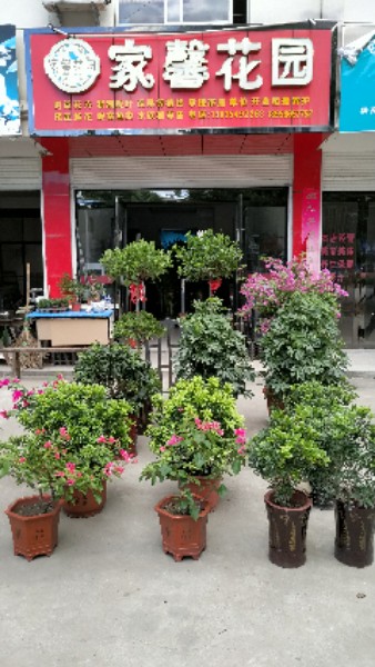 家馨花园花木店