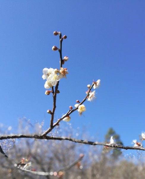 揭阳市普宁市