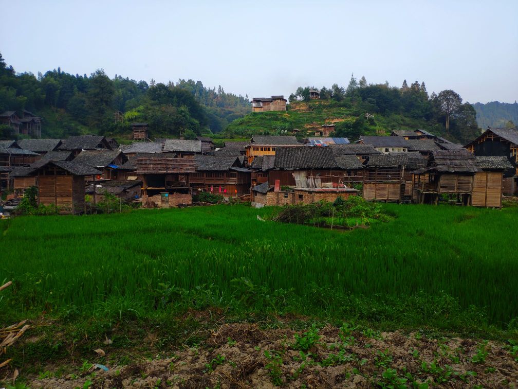 贵州黎平县黄岗村图片