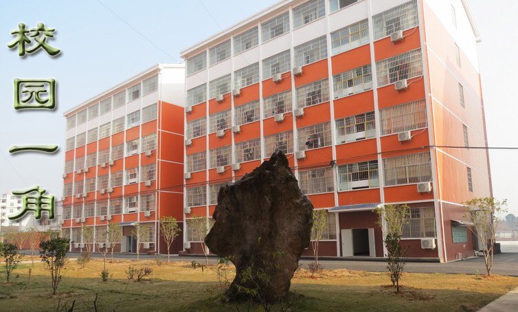 湖北通山振新国际学校