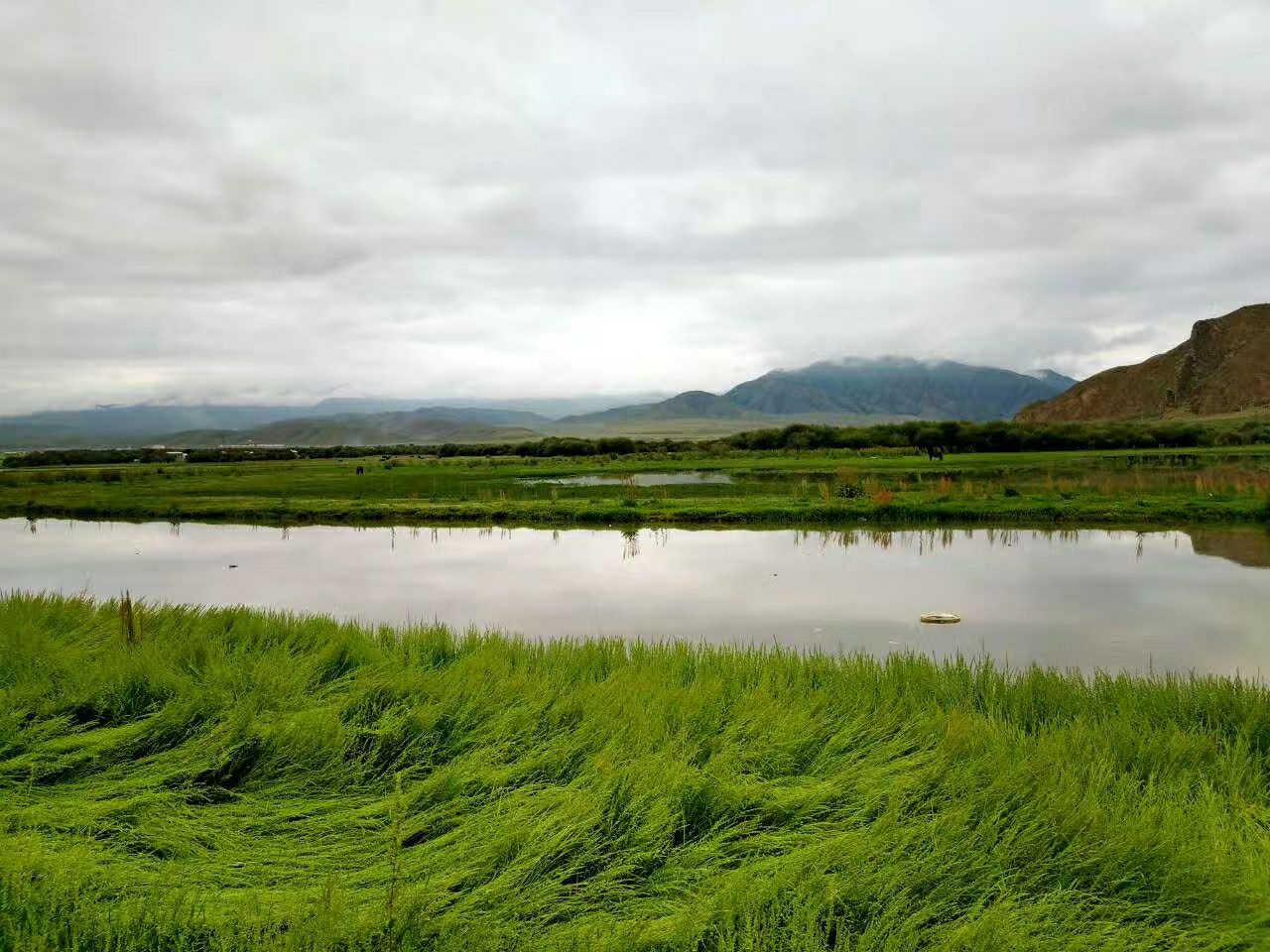 桑科湿地公园