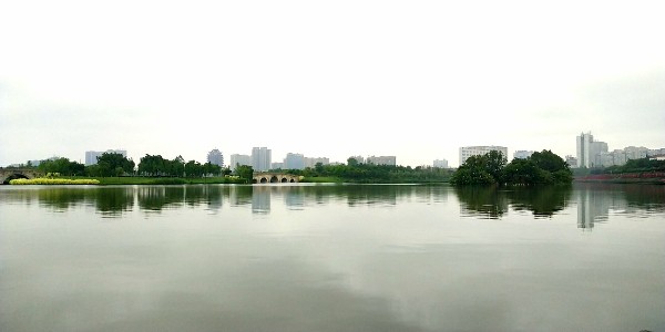 东坡城市湿地公园-衫林迷宫