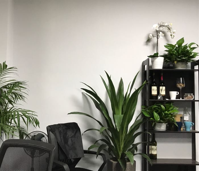 良峰有信(阳江)文化传媒有限公司