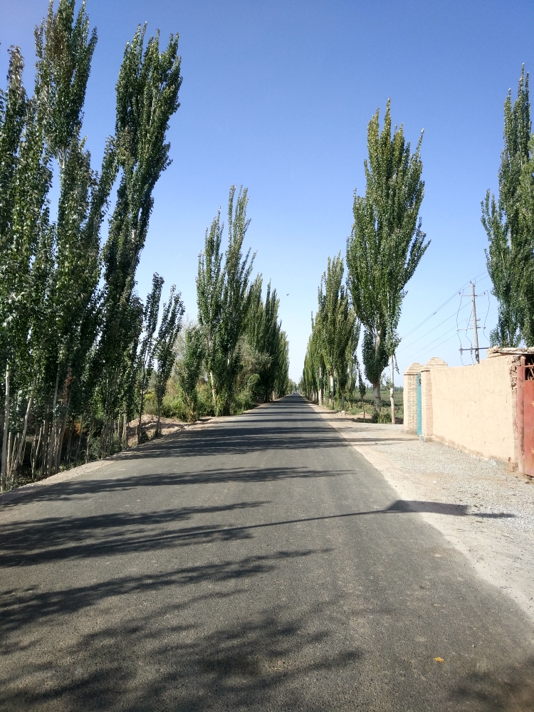 新疆维吾尔自治区图木舒克市唐托段