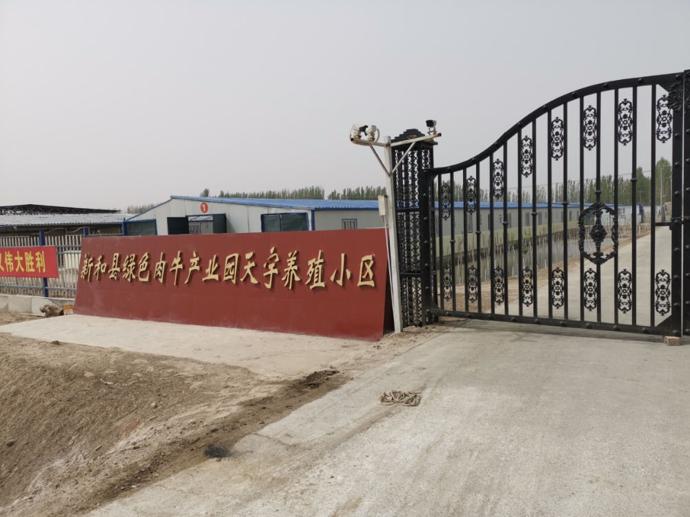 新疆维吾尔自治区阿克苏地区新和县