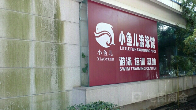 小鱼儿游泳馆(罗星阁泳池)