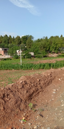 四川省绵阳市三台县