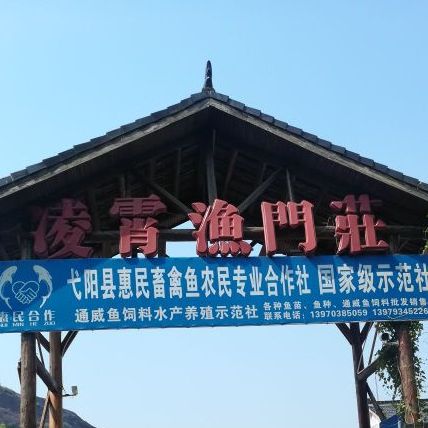 凌霄鱼门庄