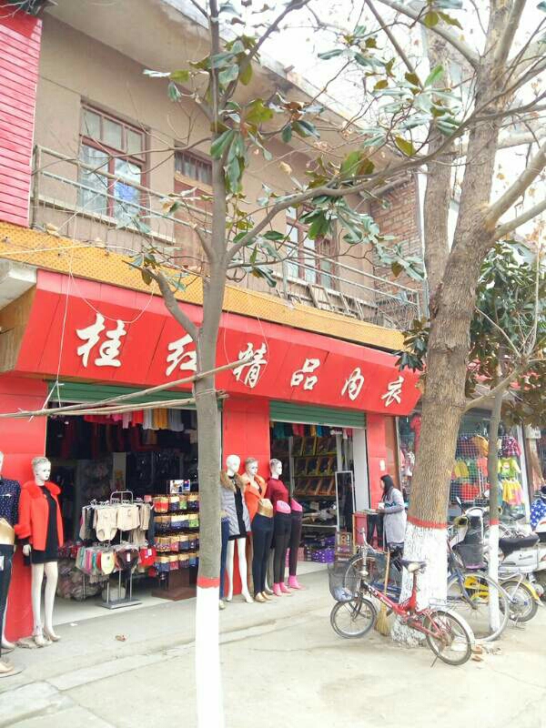 宛城区瓦店镇桂红精品内衣服饰