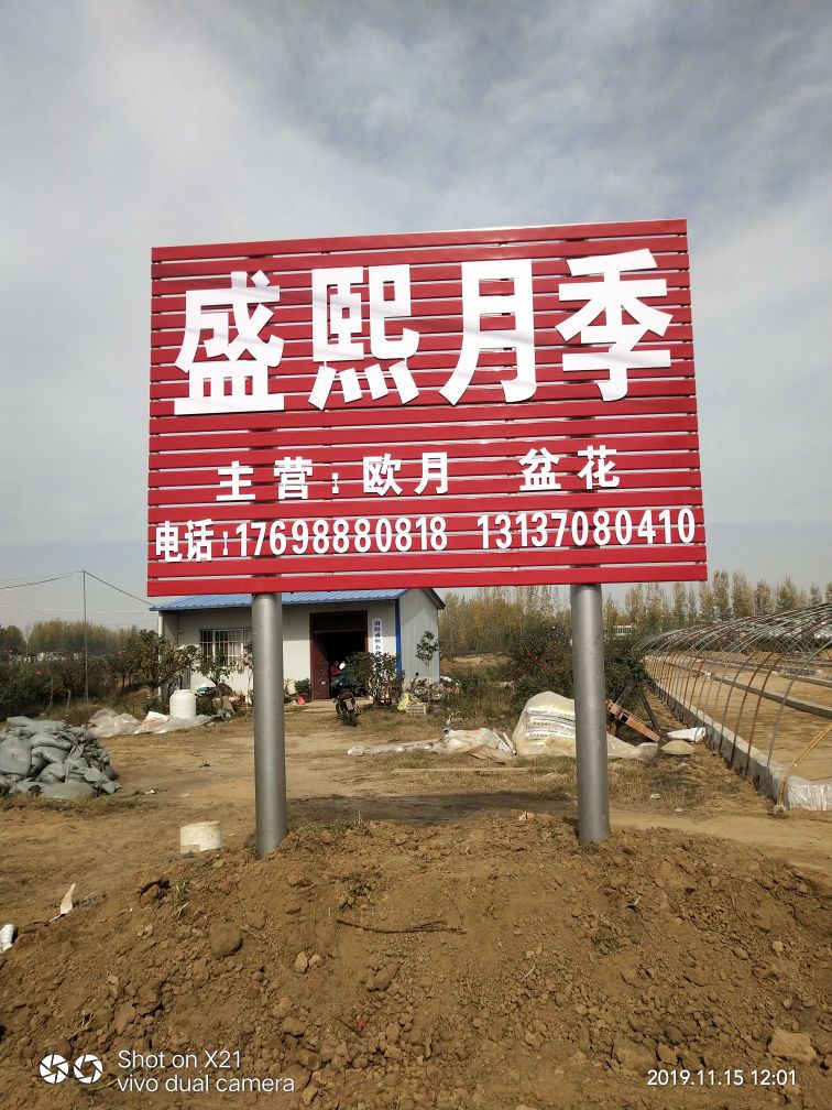 盛熙月季