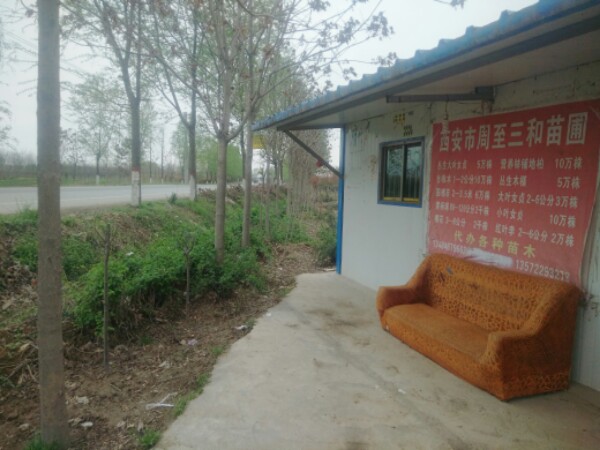 周至县三和苗圃
