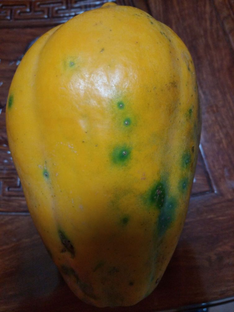 海南省松涛林场