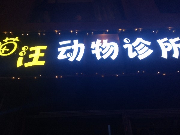 喵汪宠物诊所